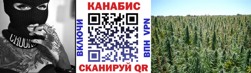 Шишки марихуана THC 21%  закладки  Опочка 